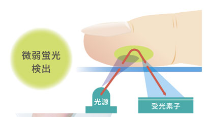 測定精度と再現性を高める指先測定